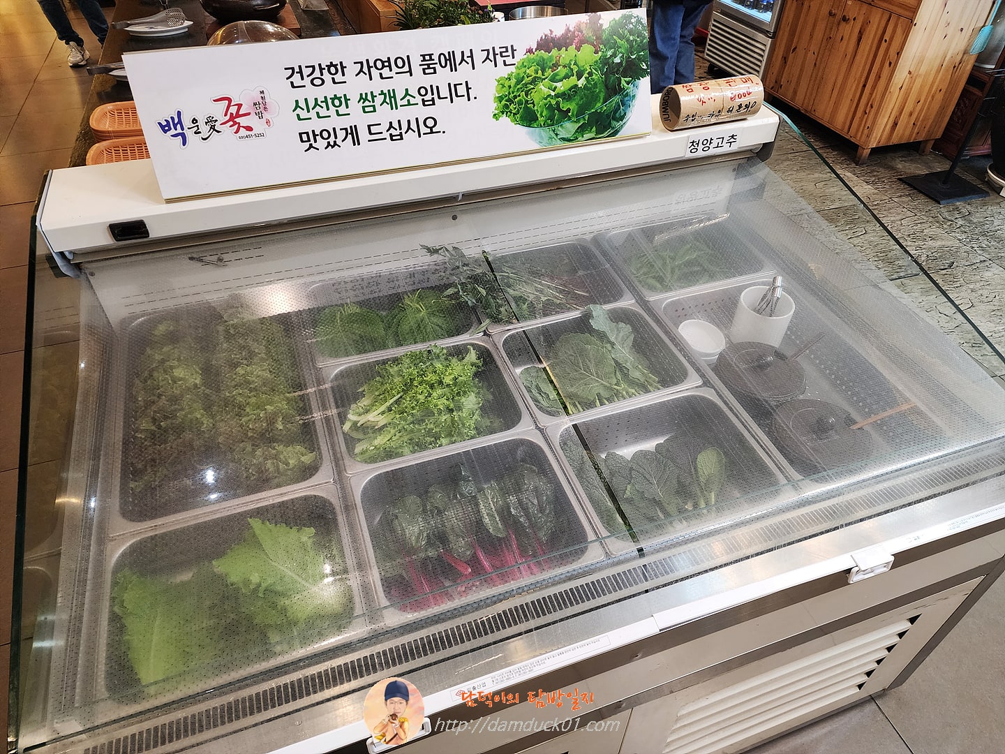 백운애꽃 셀프 코너