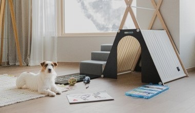 2025/2026 휘닉스파크 평창 스키장 시즌패스 완벽 가이드