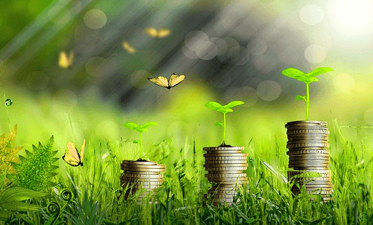 풀밭에 동전들이 한줄로 놑이 쌓여있다. 동전 위에는 푸른 싹이 자라고, 노란 나비들이 주변에서 날고있다.