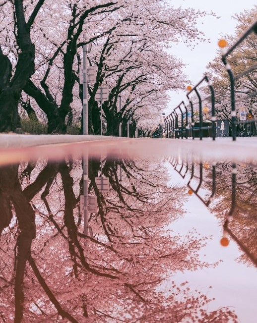 여행 가서 인생사진 찍어오기7