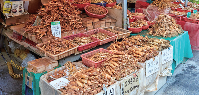 서울 경동시장 약초 가게 이미지 1
