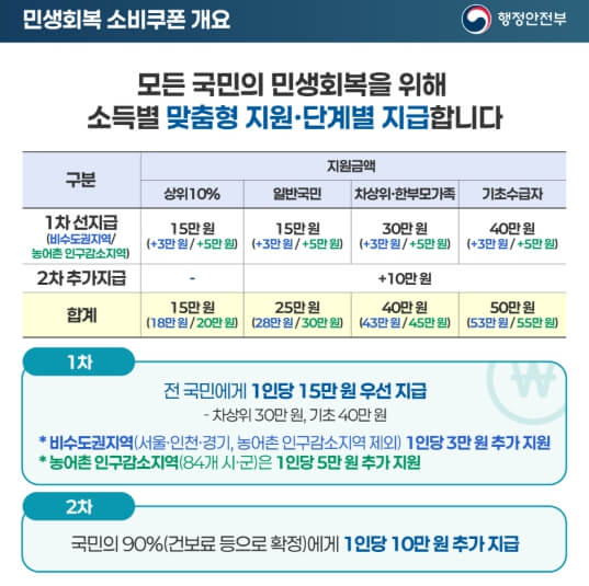 민생 소비쿠폰 개요