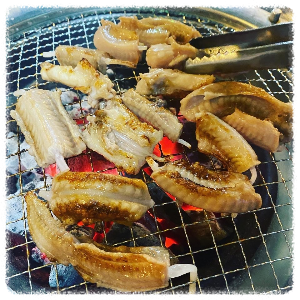 꼼짱