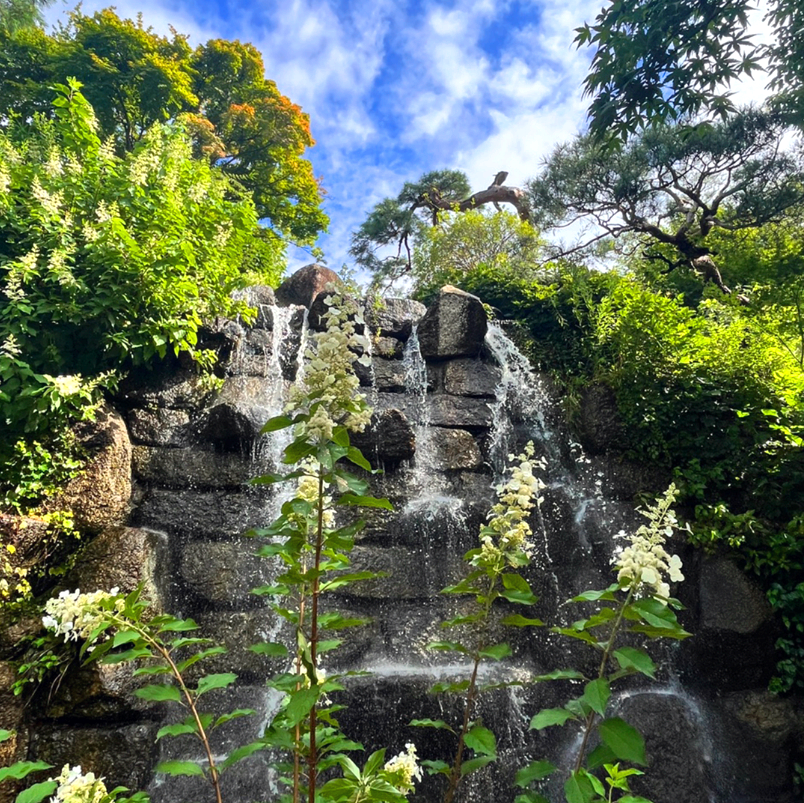 화담숲 수국축제