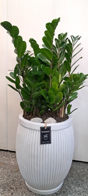 개업 축하 문구