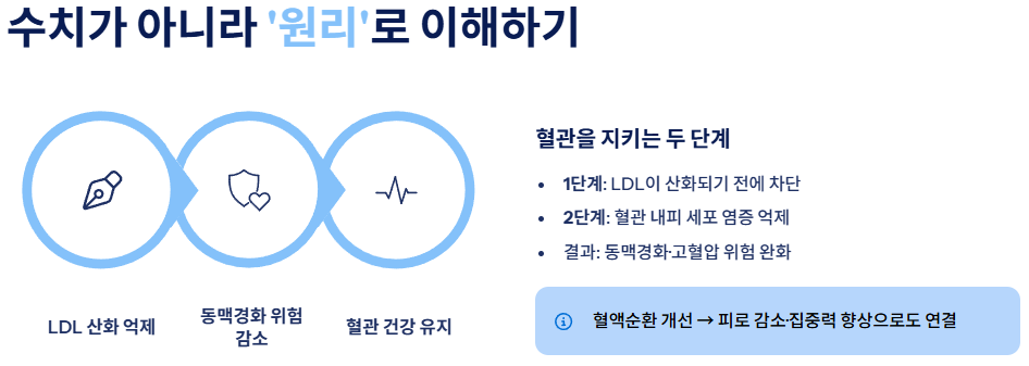 보이차 효능
