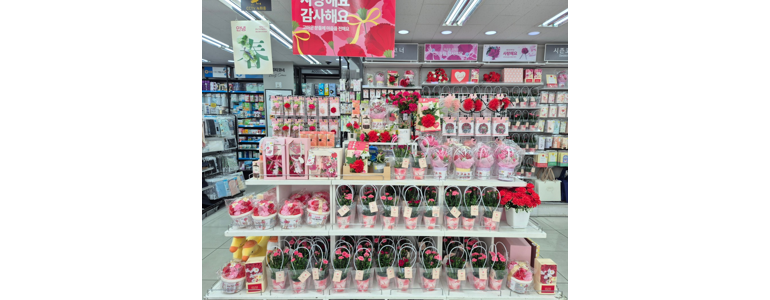 서울 성북구 종합생활용품 다이소