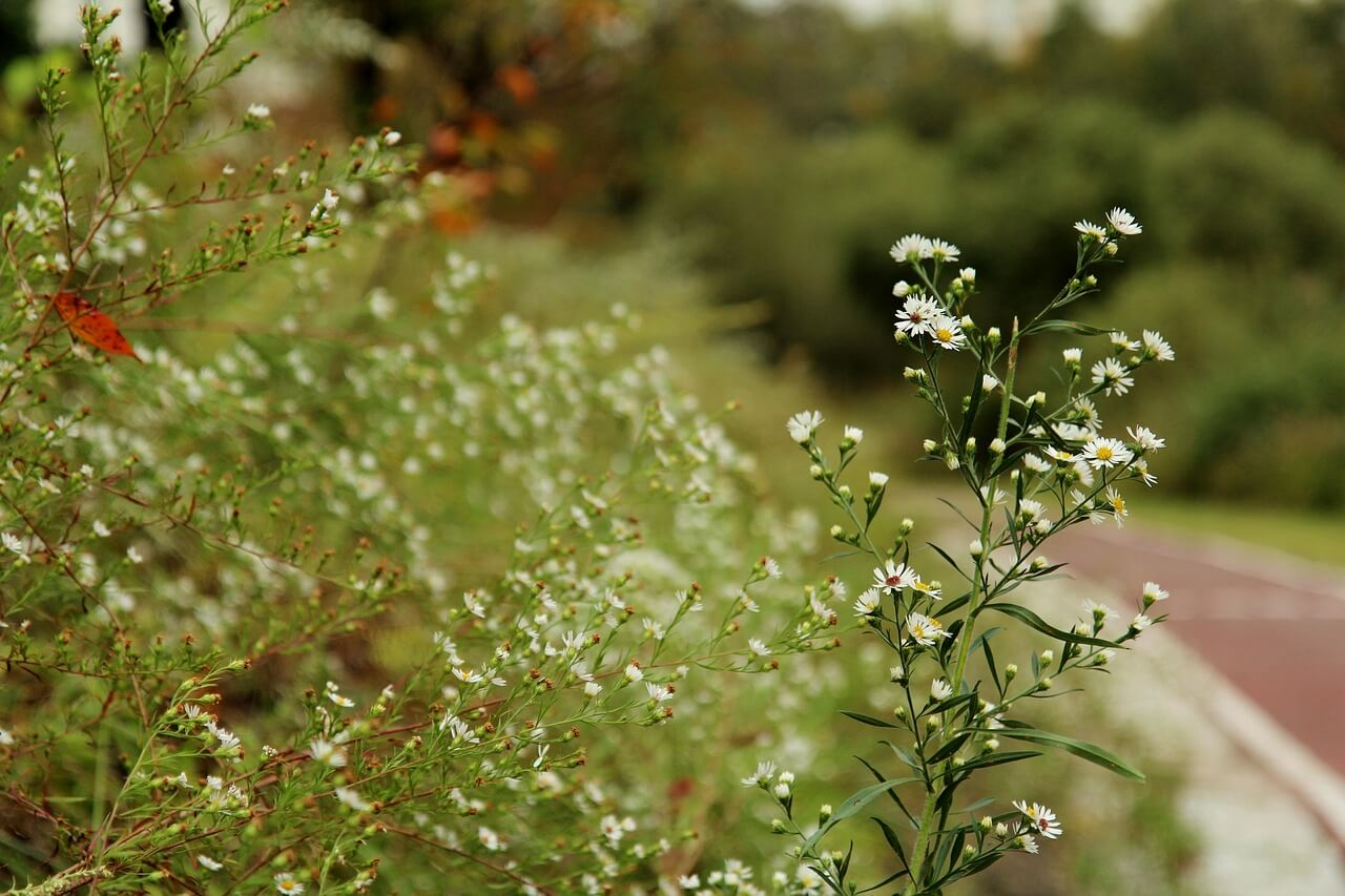 서울 산책코스 걷기 좋은 길 추천! 감성 가득한 산책코스 TOP 5