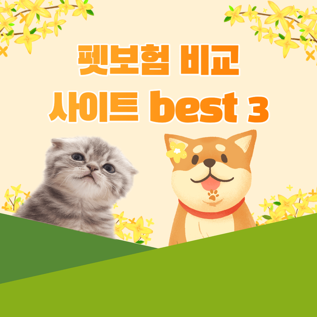 반려동물-펫보험-비교-사이트-best 3-썸네일