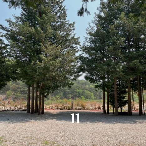 경호강_캠핑장_사이트_B11
