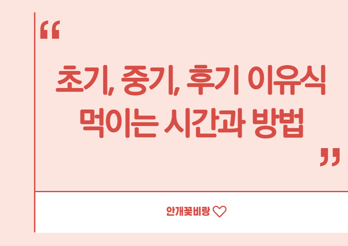 초기, 중기, 후기 이유식 먹이는 시간과 방법
