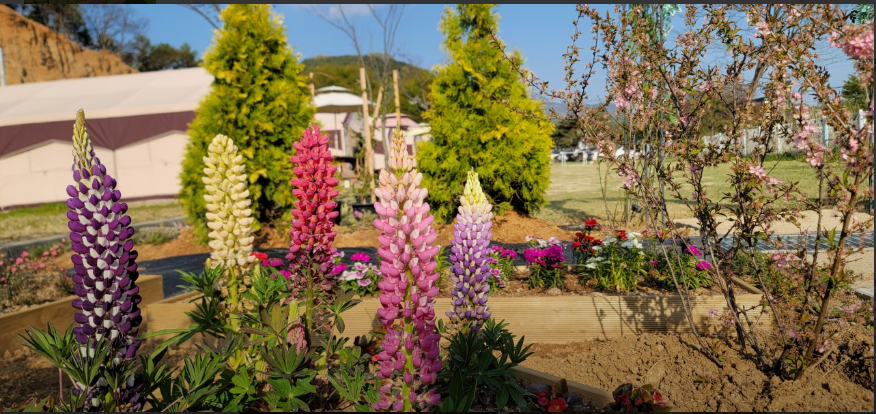 글램핑 캠핑장 - 더휴글램핑