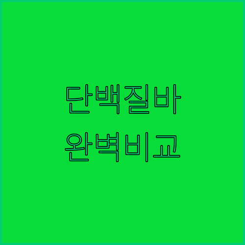 직장인 학생 건강 간식 추천 단백질바..
