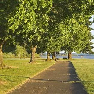 전문가가 말하는 걷기의 놀라운 효과