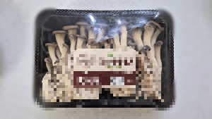 부드러운 식감과 담백한 느타리버섯