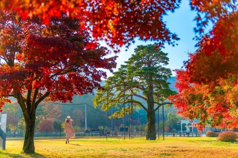 속리산 (법주사, 말티재)