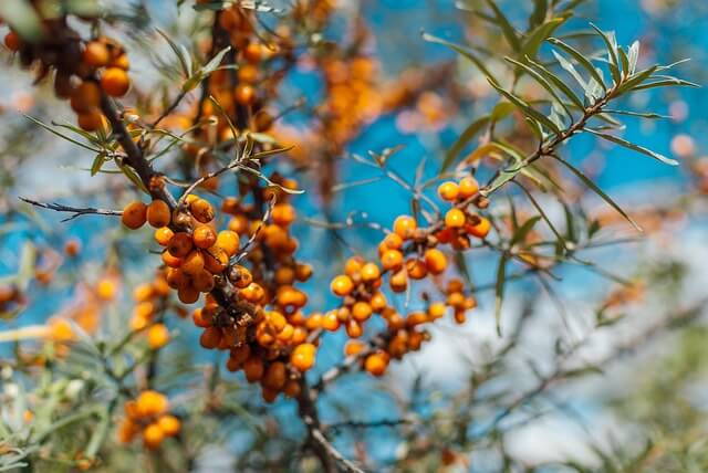 고향사랑 기부제 답례품