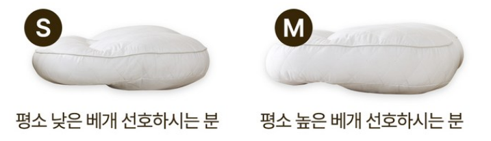 슬립앤슬립 사이즈 및 형태
