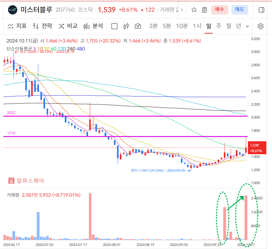 미스터블루 일봉차트