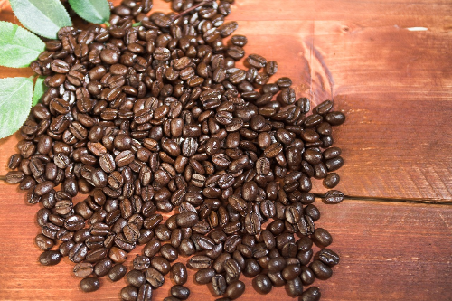 바리스타 자격증