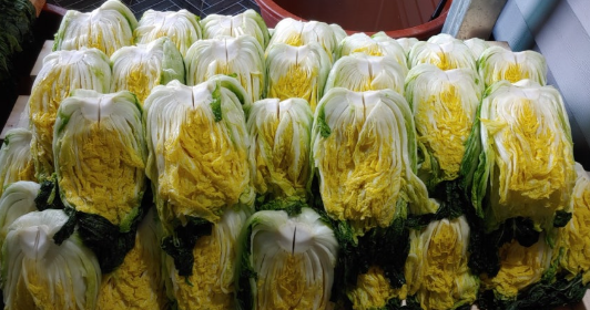 절임배추2~3회 빠르게. 헹군 뒤 세워 물만 살짝 빼는중