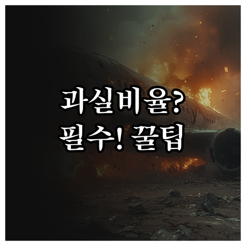 자동차 사고 과실비율 조회 포털 사용..