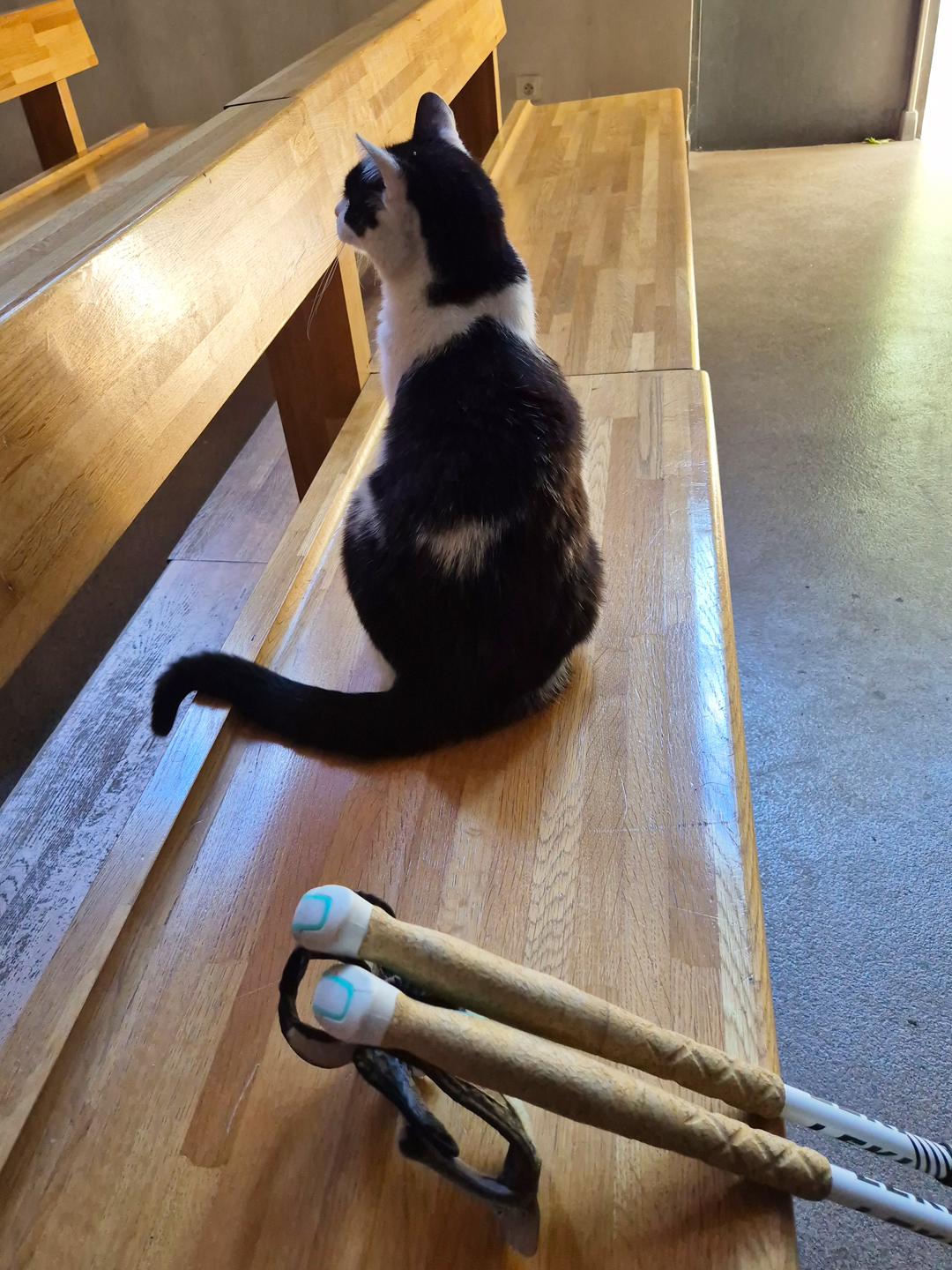 Église Notre-Dame-de-Nazareth de Paris 15eme 파리 노트르담 나자렛 성당