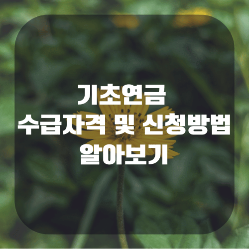 기초연금 수급자격 및 신청방법 알아보기
