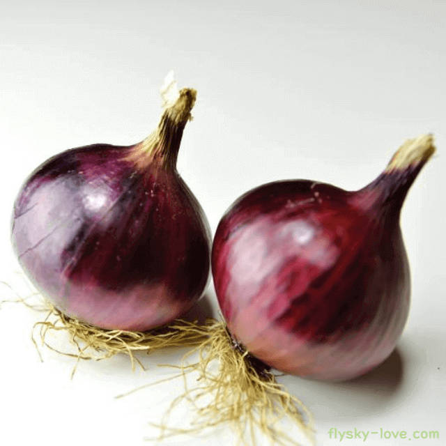 자색 양파 고르는 법