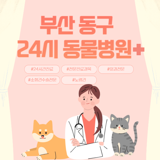 부산 동구 24시 동물병원