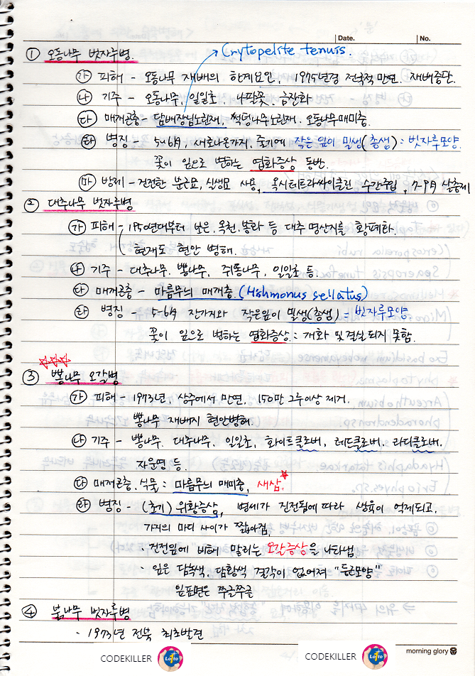 오동나무 빗자루병, 대추나무 빗자루병, 뽕나무 오갈병, 붉나무 빗자루병