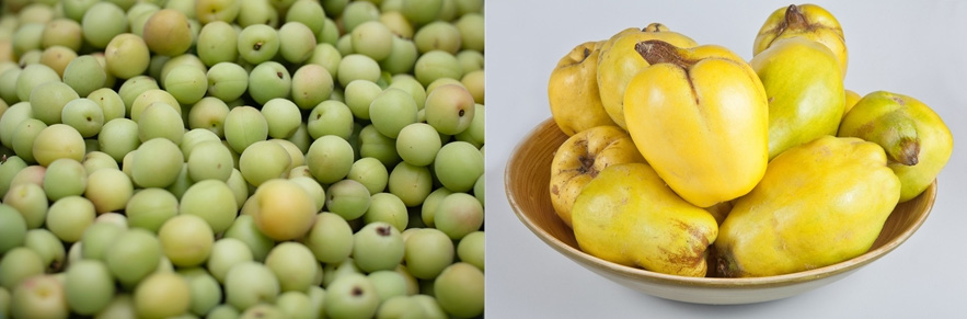 매실 나무에서 매실을 따서 잘 세척해서 잘 모아둔 사진과 하얀 그릇에 잘 세척해서 말린 모과를 담아 둔 사진