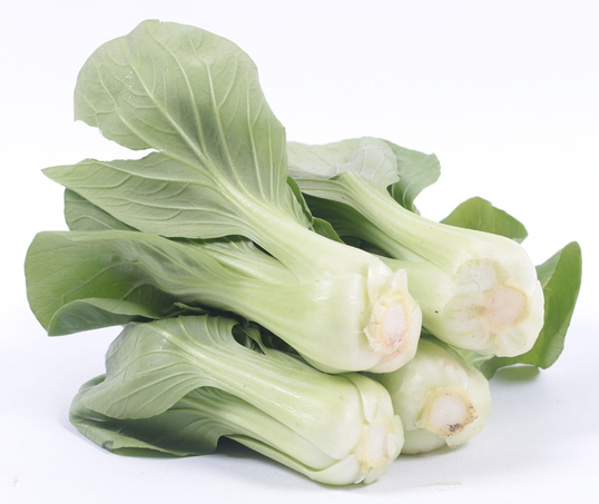 유독 가을에 맛있는 청경채 사진