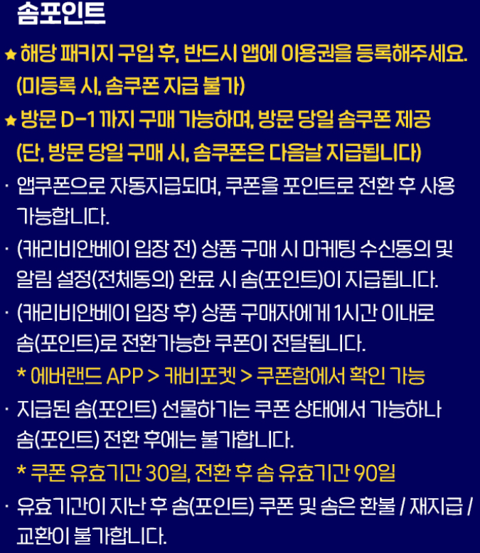 캐리비안 베이 가족 패키지 할인