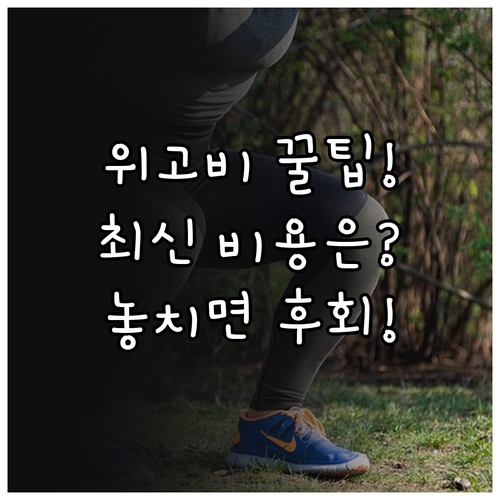 비만 치료제 위고비 2025년 처방 ..