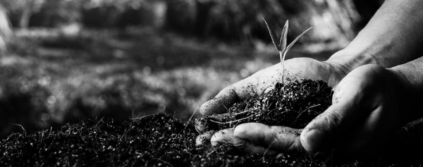 농업연금 특징: ④ 연금 채무 부족액 미청구