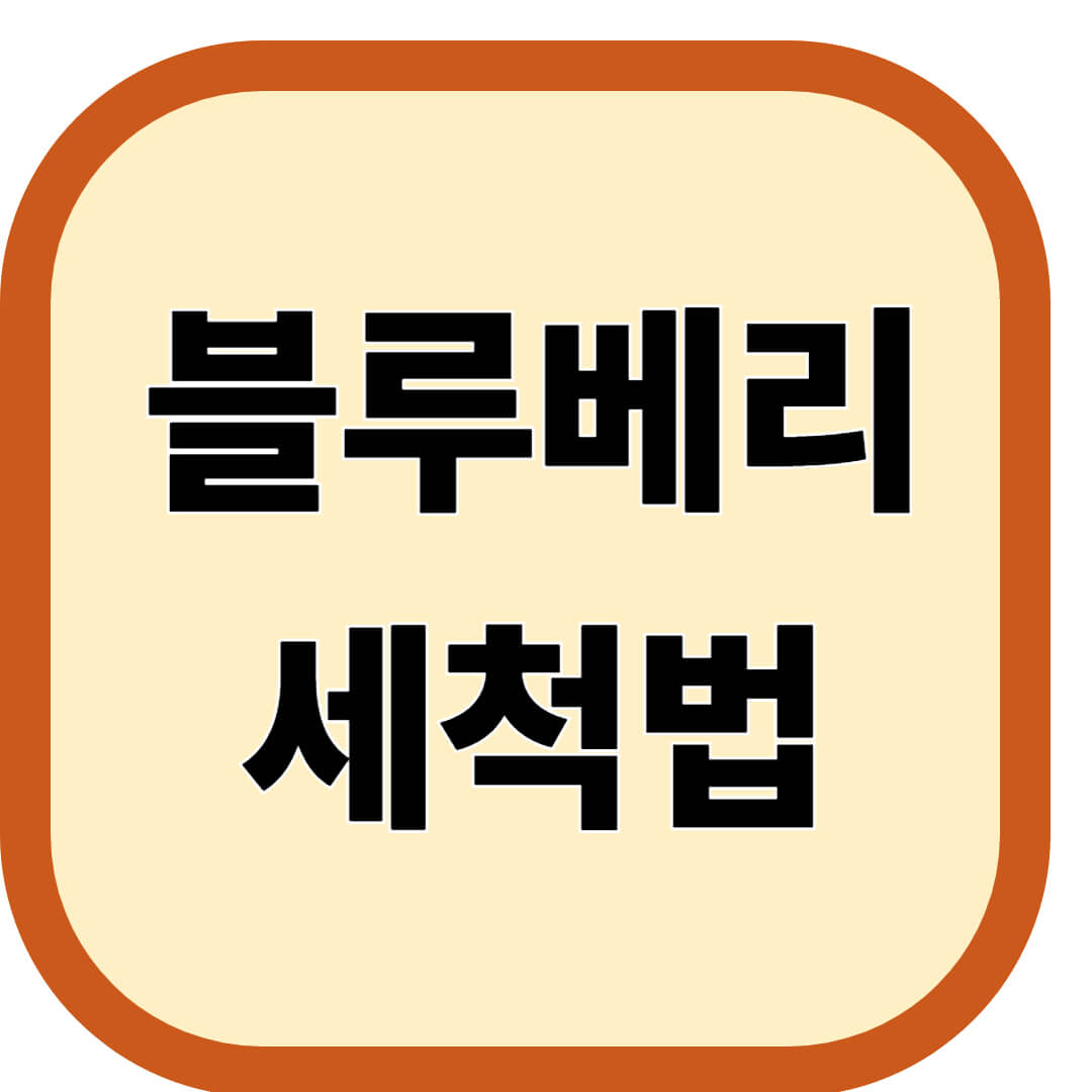 블루베리 세척법