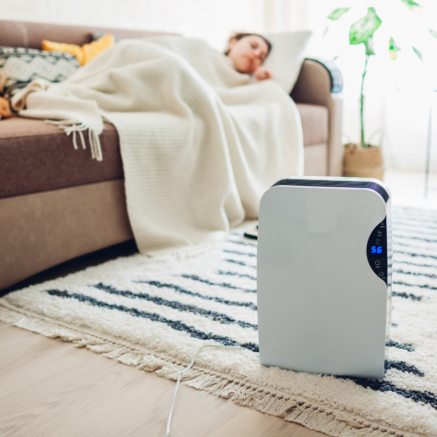 제습기 vs 습기제거제_12