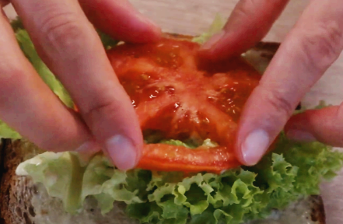 토마토 올려
