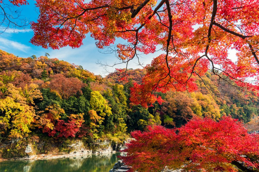 계절의 변화를 세분화한 24 절기 중 '한로' 이해하기