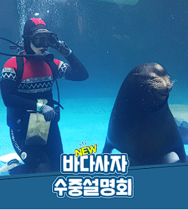 대구 아쿠아리움 입장료 할인