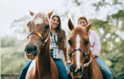 청송-가볼만한곳
