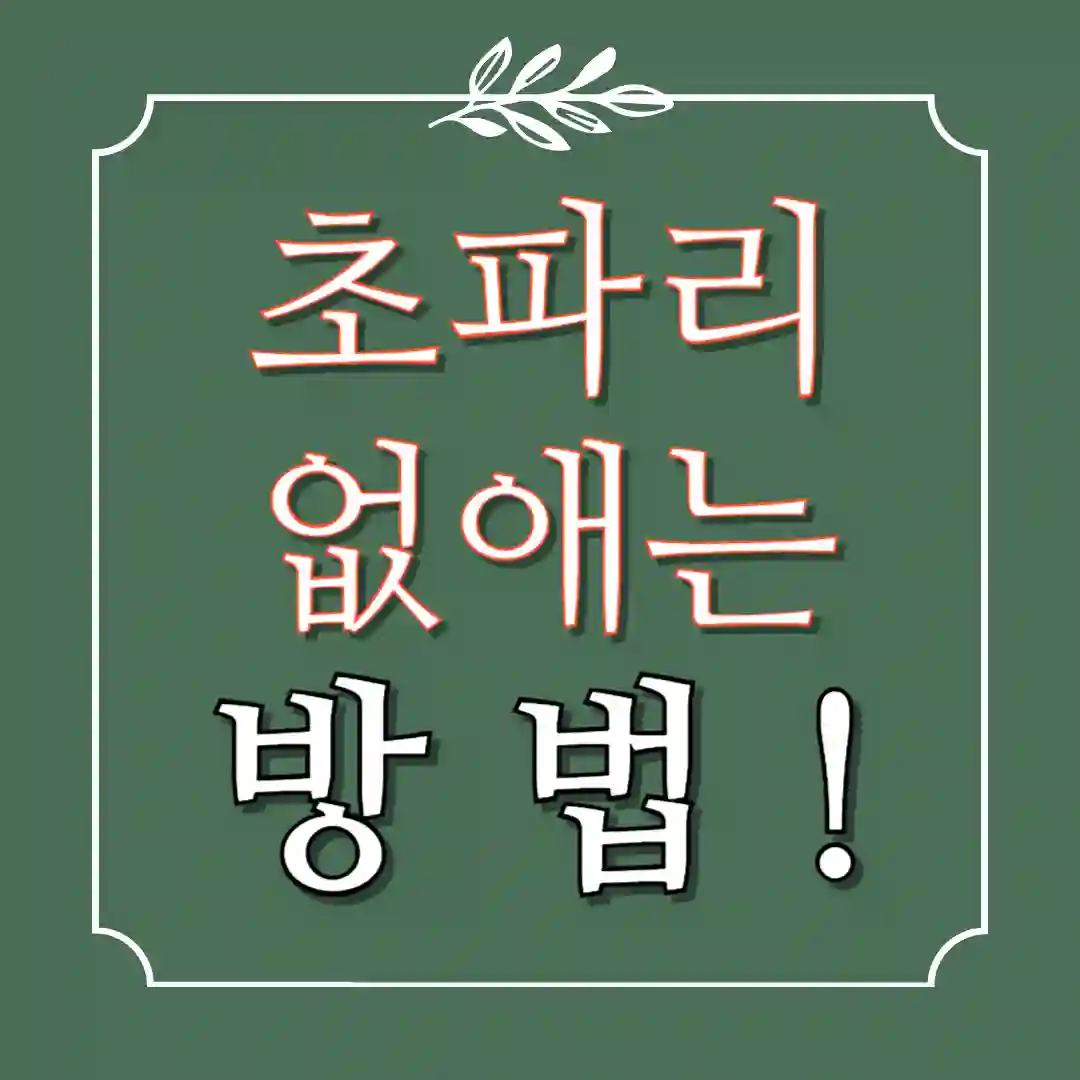 초파리 없애는 방법