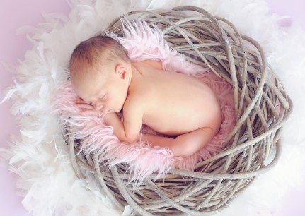 2024년 신생아 특례대출