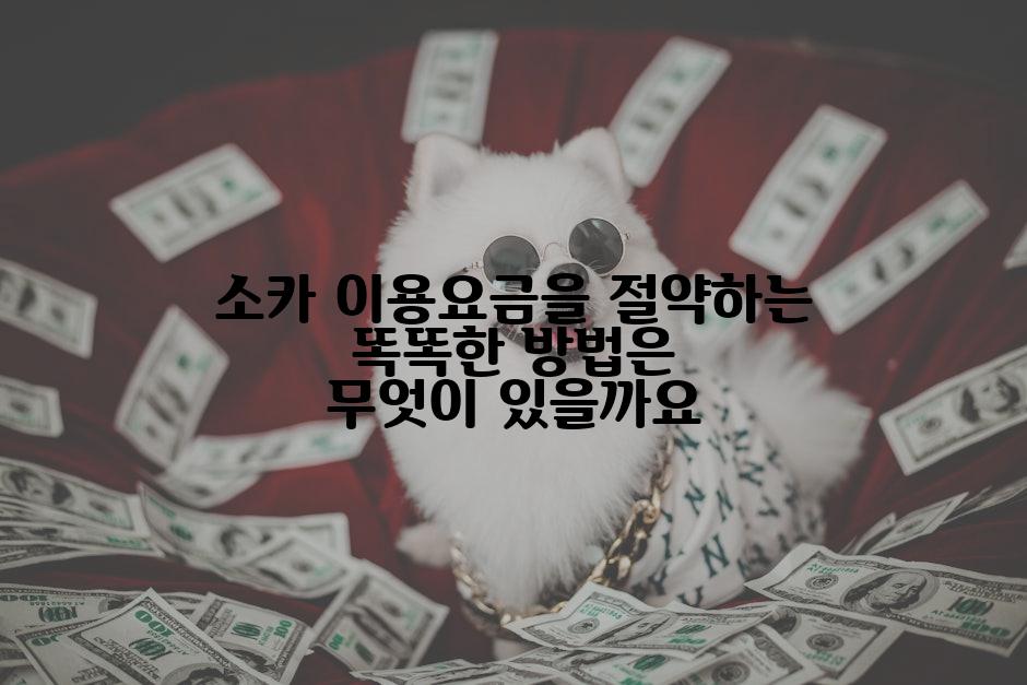 소카 이용요금을 절약하는 똑똑한 방법은 무엇이 있을까요