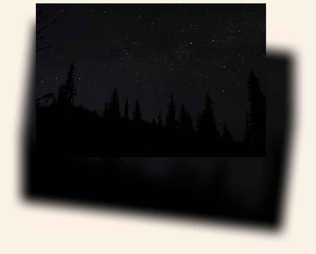 블랙커피 건강 효과_2_subsection