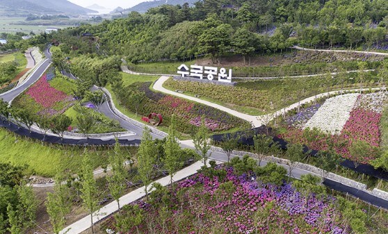 도초도 수국축제