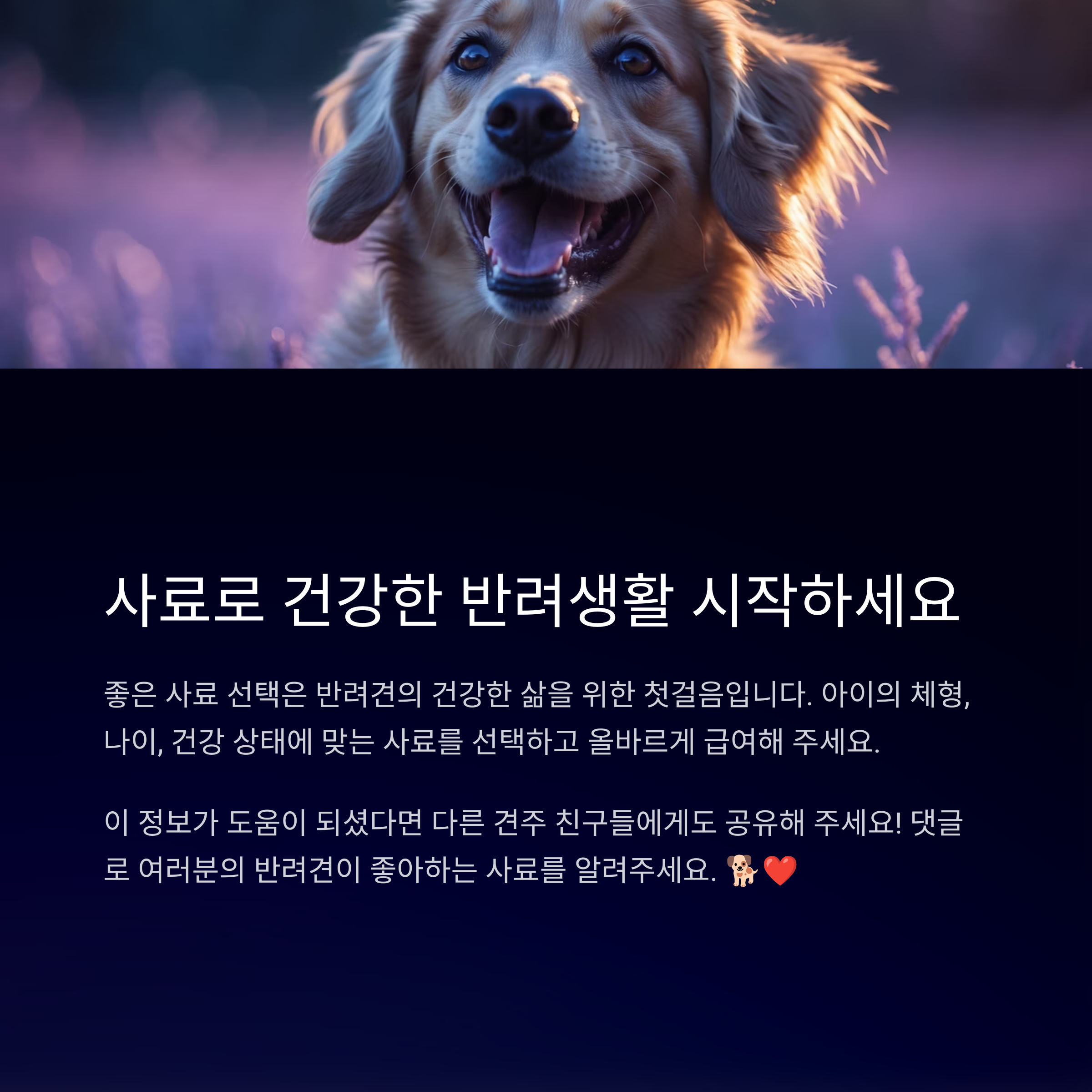 강아지 사료 추천 순위 TOP 5