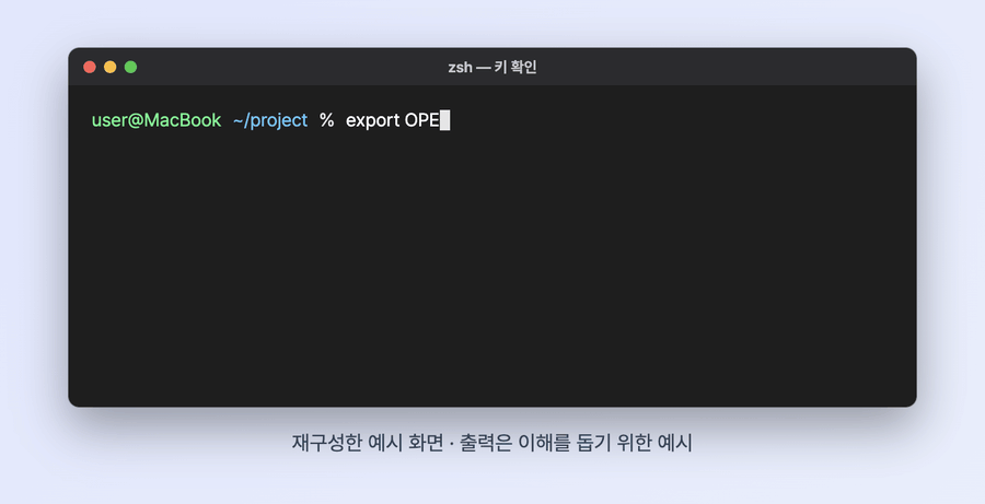 맥 터미널에서 OPENAI_API_KEY를 넣고 curl로 모델 목록을 불러 gpt-5.6 모델 이름이 나오는 과정을 재구성한 움직이는 화면
