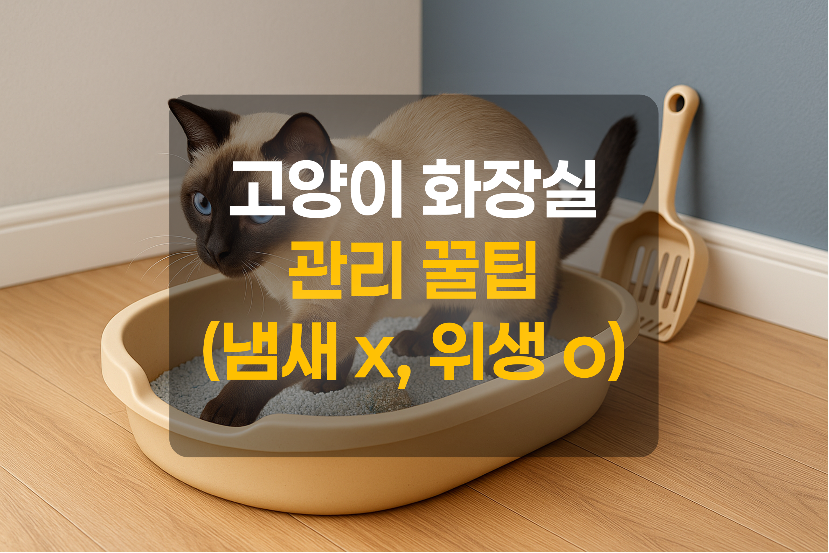 실내 고양이 화장실에서 용변을 처리하는 고양이를 이미지화한 그림